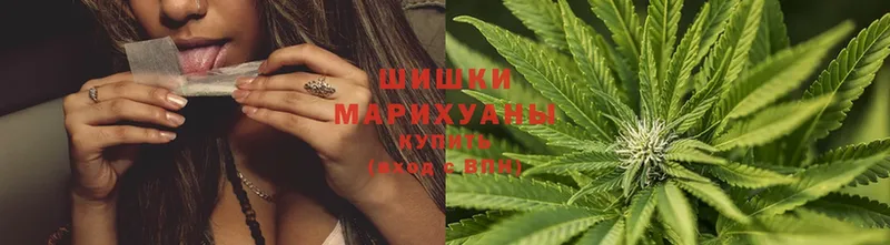 Шишки марихуана OG Kush  купить наркотики сайты  Заводоуковск 